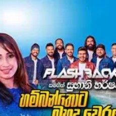 Hambanthota Muhudu Werale - Hambanthota Muhudu Werale  Song Mp3