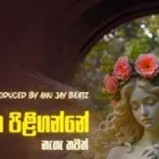 Hitha Piliganne Naha Thawath - Anu Jay Beatz