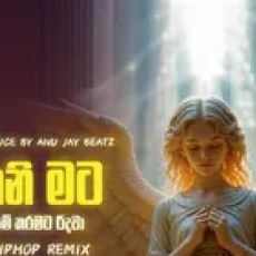 Thani Mata - Anu Jay Beatz