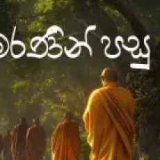 Maranin Pasu - Thilina Sudesh Wanninayake