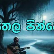 Seethaa Pinne - Ceylon Ai Records