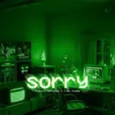 Sorry - Nipuna Fernando, Tikx Kooda
