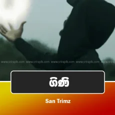 Gini - San Trimz Gini - San Trimz