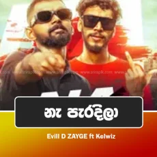 Na Paradila - Evill D ZAYGE ft Kelwiz Na Paradila - Evill D ZAYGE ft Kelwiz