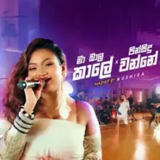 Ma Bala Kale x Pin Sidu Wanne (Mashup) - Nushika Fernando Ma Bala Kale x Pin Sidu Wanne (Mashup) - Nushika Fernando