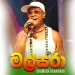 Malsara - Chamara Ranawaka